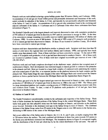 Hydrocarbon Storage in Geological Formations of Ontario Page 4