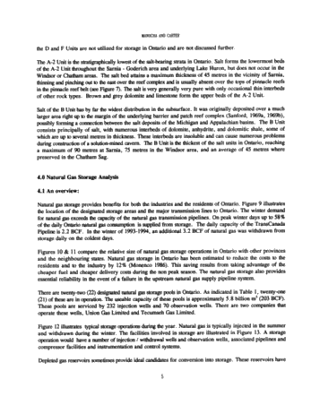 Hydrocarbon Storage in Geological Formations of Ontario Page 5
