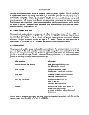 Hydrocarbon Storage in Geological Formations of Ontario Page 6