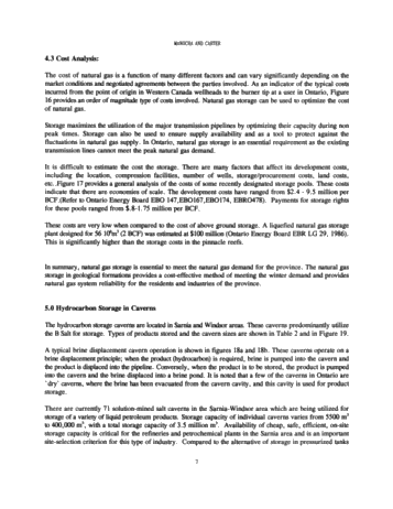 Hydrocarbon Storage in Geological Formations of Ontario Page 7