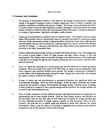 Hydrocarbon Storage in Geological Formations of Ontario Page 11