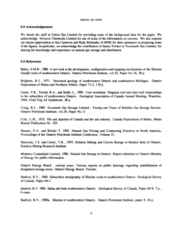 Hydrocarbon Storage in Geological Formations of Ontario Page 12