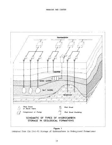 Hydrocarbon Storage in Geological Formations of Ontario Page 14