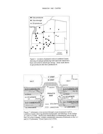 Hydrocarbon Storage in Geological Formations of Ontario Page 18