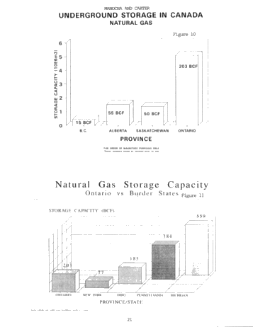 Hydrocarbon Storage in Geological Formations of Ontario Page 21