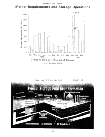 Hydrocarbon Storage in Geological Formations of Ontario Page 22