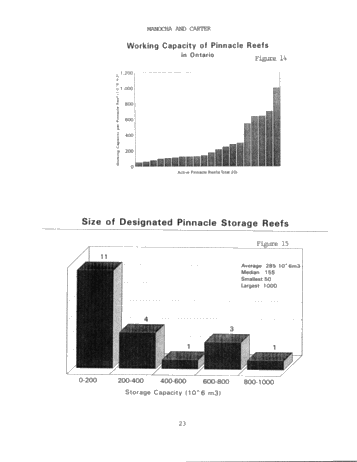 Hydrocarbon Storage in Geological Formations of Ontario Page 23