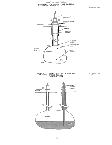 Hydrocarbon Storage in Geological Formations of Ontario Page 25