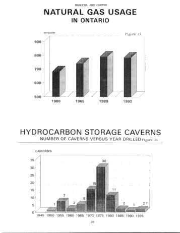 Hydrocarbon Storage in Geological Formations of Ontario Page 28