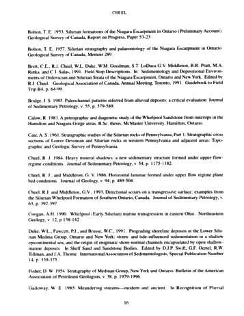 Silurian Whirlpool Formation Sedimentology, Niagara Peninsula, Outcrops and Subsurface Page 16