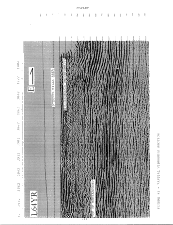 Oil and Gas Potential of Carboniferous Lacustrine Clastics in the Moncton Sub Basin, N.B. Page 17