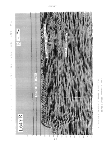 Oil and Gas Potential of Carboniferous Lacustrine Clastics in the Moncton Sub Basin, N.B. Page 21