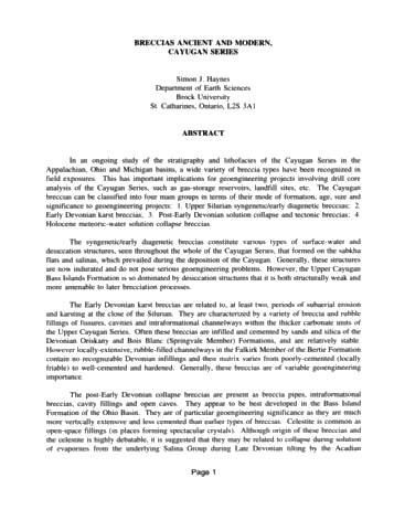 Breccia, Ancient and Modern, Cayugan Series Page 1