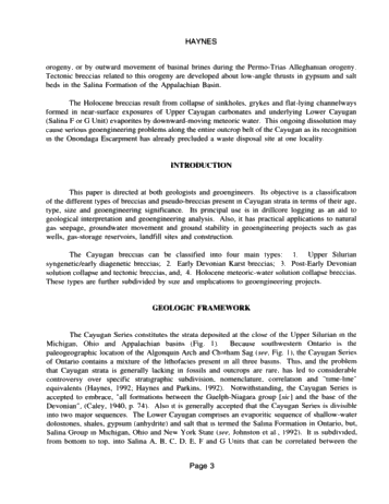 Breccia, Ancient and Modern, Cayugan Series Page 3