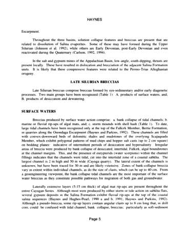 Breccia, Ancient and Modern, Cayugan Series Page 5