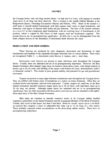 Breccia, Ancient and Modern, Cayugan Series Page 7