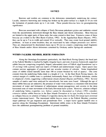 Breccia, Ancient and Modern, Cayugan Series Page 9