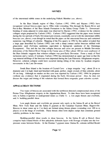 Breccia, Ancient and Modern, Cayugan Series Page 12