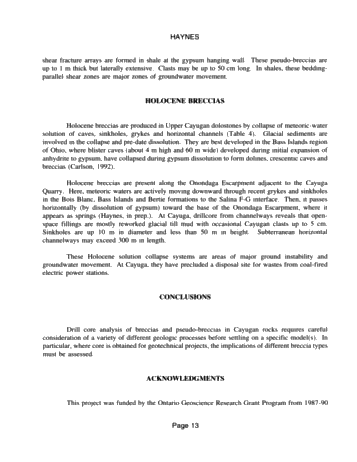 Breccia, Ancient and Modern, Cayugan Series Page 13