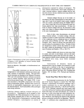 Stacking Patterns of Cyclic Parasequences in Cambro-Ordovician Carbonates of Eastern New York State Page 4