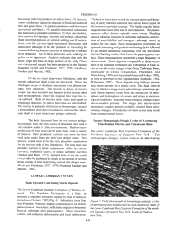 Stacking Patterns of Cyclic Parasequences in Cambro-Ordovician Carbonates of Eastern New York State Page 5