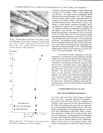 Stacking Patterns of Cyclic Parasequences in Cambro-Ordovician Carbonates of Eastern New York State Page 8