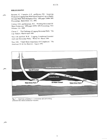 Production Logging in Horizontal Wells Page 3