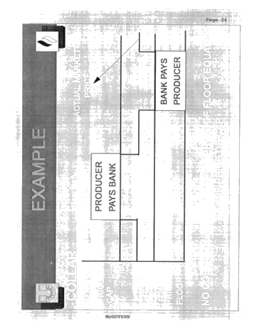 Risk Management Overview Page 24