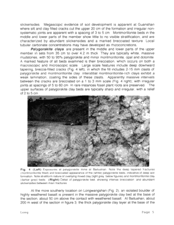 Drill Mud or Kitty Litter? The Origin and Potential Use of Palygorskite From the Tertiary Xiacaowan Formation of Jiansu and Anhui Provinces of China Page 4