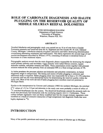 Role of Carbonate Diagenesis and Halite Plugging on the Reservoir Quality of Middle Silurian Reefal Dolomites Page 1
