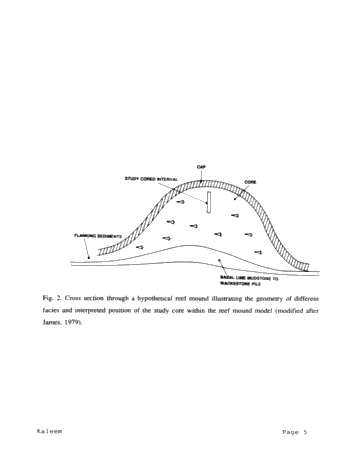 Role of Carbonate Diagenesis and Halite Plugging on the Reservoir Quality of Middle Silurian Reefal Dolomites Page 5