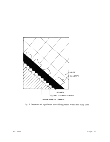Role of Carbonate Diagenesis and Halite Plugging on the Reservoir Quality of Middle Silurian Reefal Dolomites Page 11