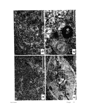 Role of Carbonate Diagenesis and Halite Plugging on the Reservoir Quality of Middle Silurian Reefal Dolomites Page 33