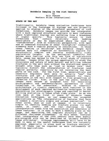 Borehole Imaging in the 21st Century Page 1