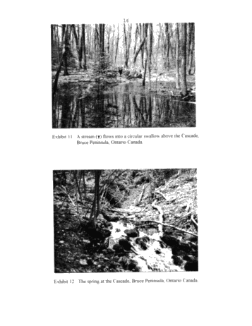 Sinkholes - a Trapping Mechanism for Oil and Gas in the Ordovician of Kent and Essex Counties, Ontario Page 16