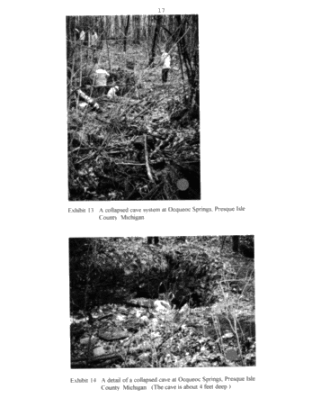 Sinkholes - a Trapping Mechanism for Oil and Gas in the Ordovician of Kent and Essex Counties, Ontario Page 17