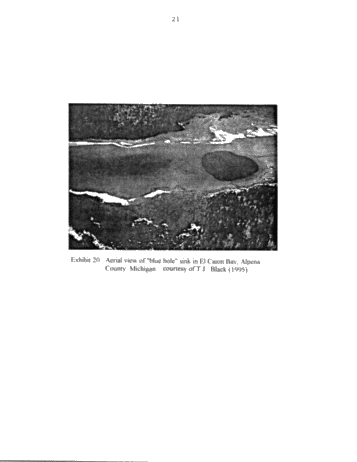 Sinkholes - a Trapping Mechanism for Oil and Gas in the Ordovician of Kent and Essex Counties, Ontario Page 21