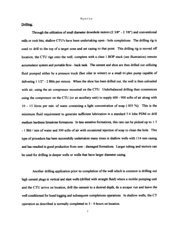 Coiled Tubing Applications in Shallow Oil and Gas Wells Page 3