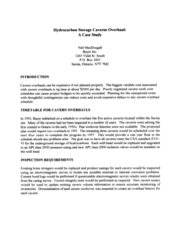 Hydrocarbon Storage Cavern Overhauls - a Case Study Page 1