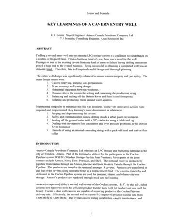 Key Learnings of a Cavern Entry Well Page 1