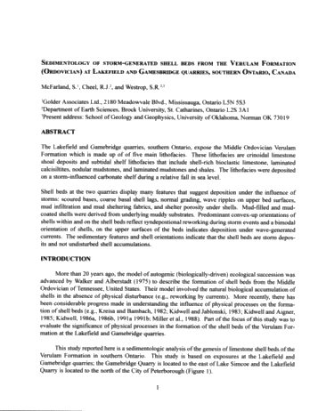 Sedimentology of Storm-Generated Shell Beds From the Verulam Formation (Ordovician) at Lakefield and Gamesbridge Quarries, Southern Ontario, Canada Page 1