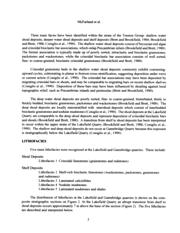 Sedimentology of Storm-Generated Shell Beds From the Verulam Formation (Ordovician) at Lakefield and Gamesbridge Quarries, Southern Ontario, Canada Page 3