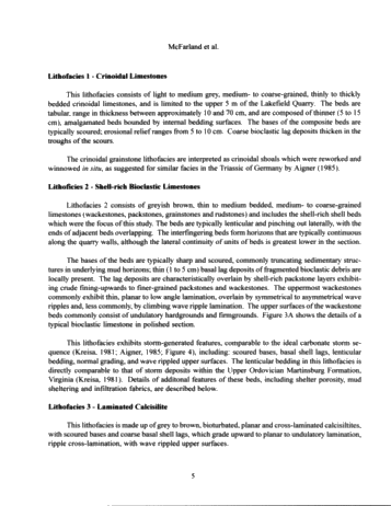 Sedimentology of Storm-Generated Shell Beds From the Verulam Formation (Ordovician) at Lakefield and Gamesbridge Quarries, Southern Ontario, Canada Page 5