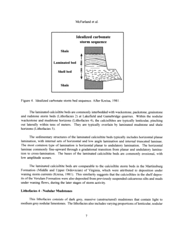 Sedimentology of Storm-Generated Shell Beds From the Verulam Formation (Ordovician) at Lakefield and Gamesbridge Quarries, Southern Ontario, Canada Page 7