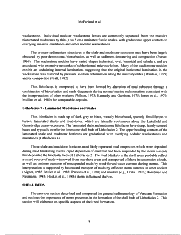 Sedimentology of Storm-Generated Shell Beds From the Verulam Formation (Ordovician) at Lakefield and Gamesbridge Quarries, Southern Ontario, Canada Page 8