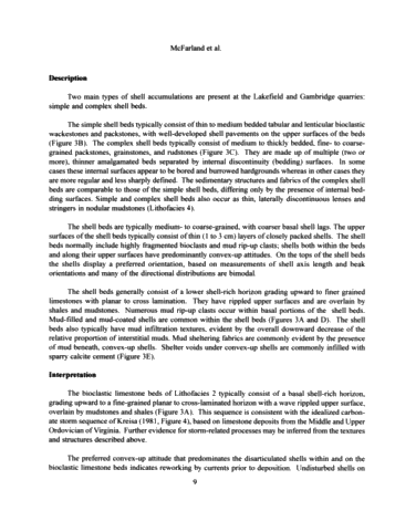 Sedimentology of Storm-Generated Shell Beds From the Verulam Formation (Ordovician) at Lakefield and Gamesbridge Quarries, Southern Ontario, Canada Page 9
