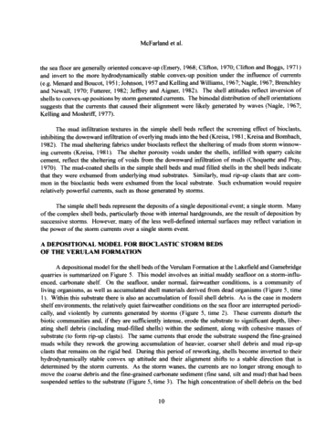 Sedimentology of Storm-Generated Shell Beds From the Verulam Formation (Ordovician) at Lakefield and Gamesbridge Quarries, Southern Ontario, Canada Page 10