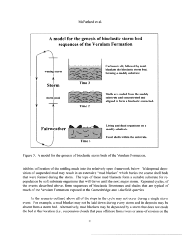 Sedimentology of Storm-Generated Shell Beds From the Verulam Formation (Ordovician) at Lakefield and Gamesbridge Quarries, Southern Ontario, Canada Page 11