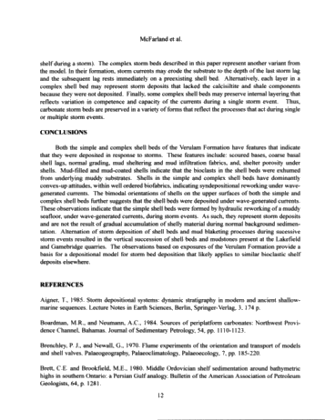 Sedimentology of Storm-Generated Shell Beds From the Verulam Formation (Ordovician) at Lakefield and Gamesbridge Quarries, Southern Ontario, Canada Page 12