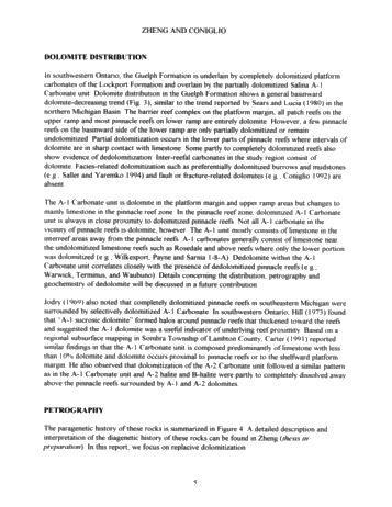 Dolomitization in the Guelph Formation, Southwestern Ontario Page 5